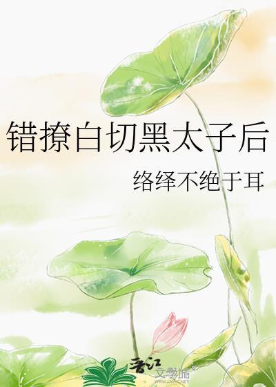 错撩白切黑太子后