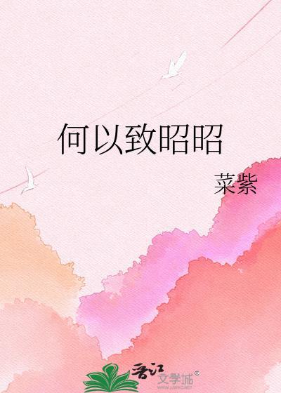 何以致昭昭