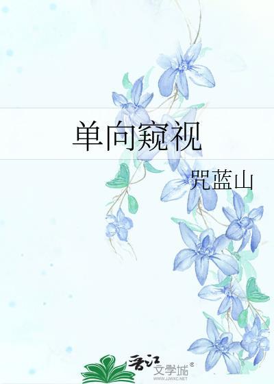 单向窥视