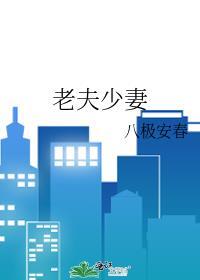 老夫少妻