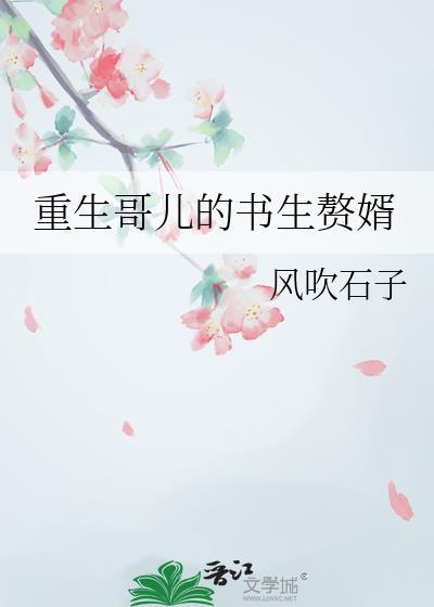 重生哥儿的书生赘婿