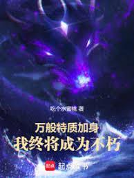 我加载了武道破限面板