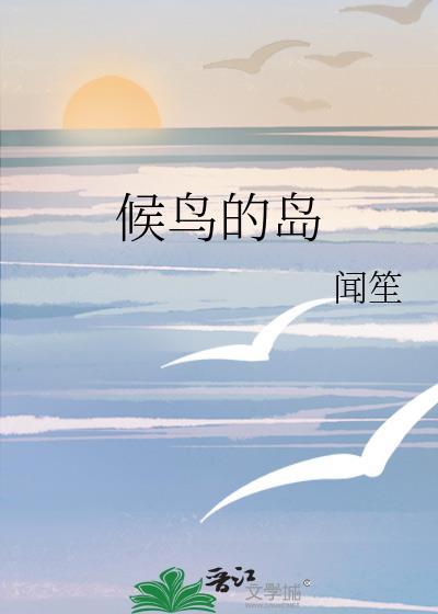 候鸟的岛